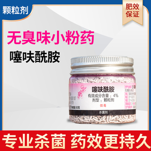 噻呋酰胺多肉小粉药4%土壤杀菌剂植物防菌药小粉瓶盆栽纹枯病