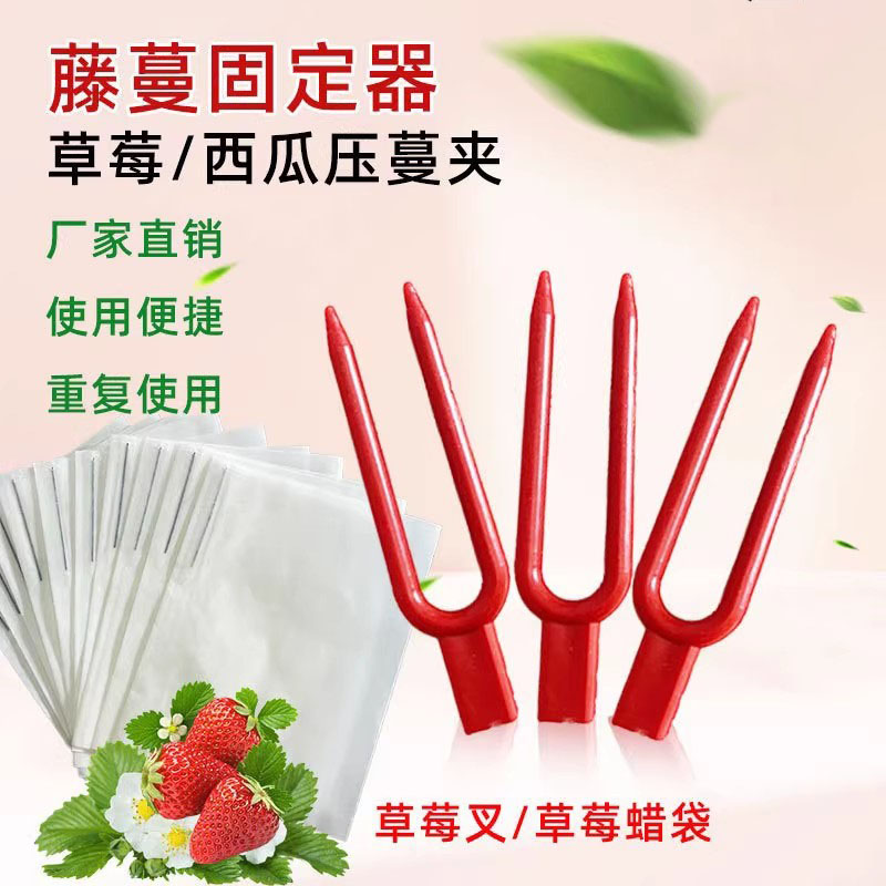 草莓叉子育苗压蔓器草莓瓜果育苗