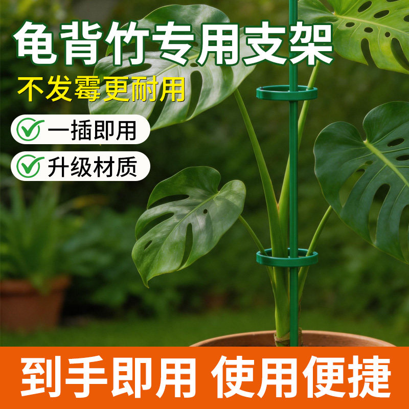 龟背竹支撑架阳台家用种菜专用架子防倒伏爬藤架固定杆园艺花架图片