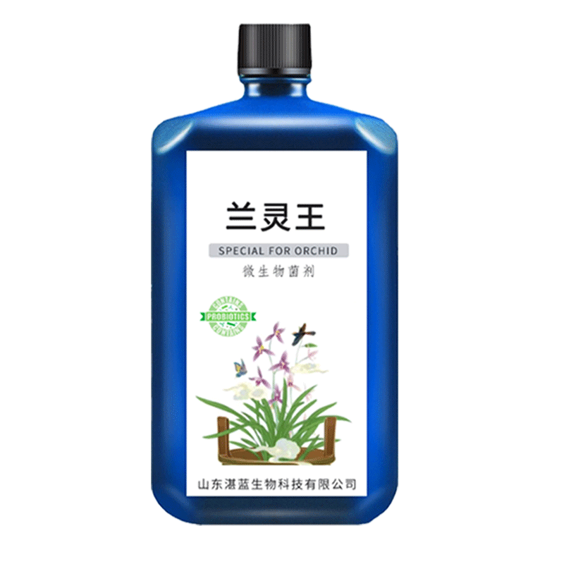 醉花兰花专用型保真正品