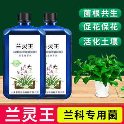 花多多兰灵王兰花专用营养液