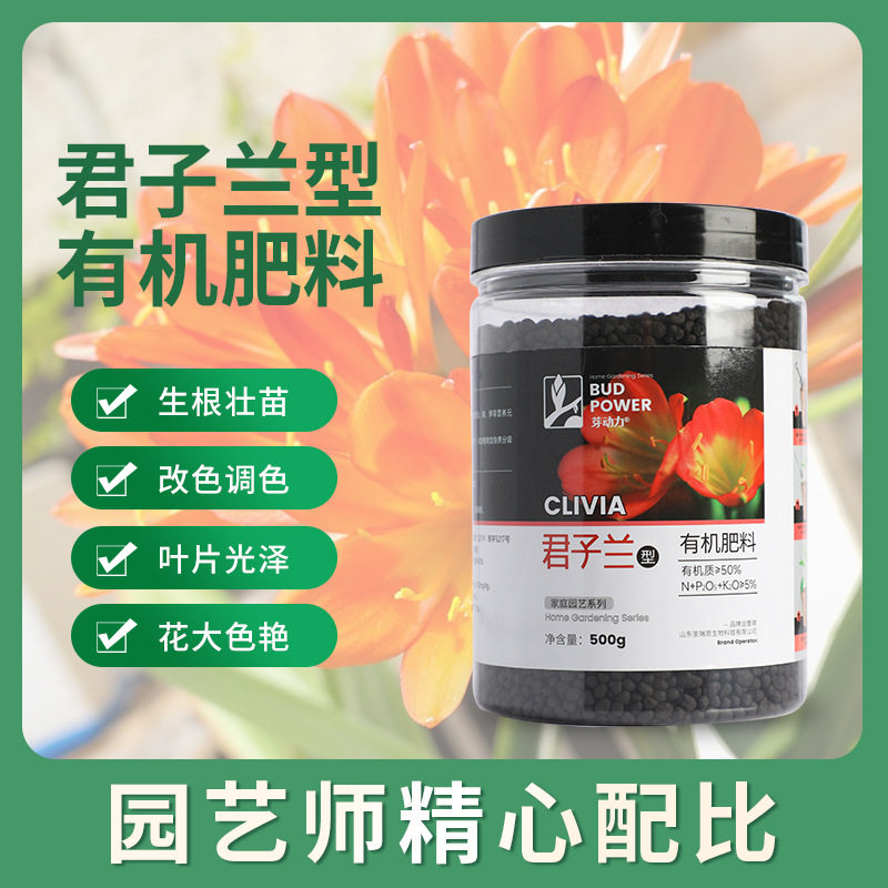 君子兰促箭专用肥料室内植物治黄叶不开花拔箭防夹箭生根兰花肥,鲜花速递/花卉仿真/绿植园艺,家庭园艺肥料,淘宝优惠券,粉丝福利购,淘宝优惠卷