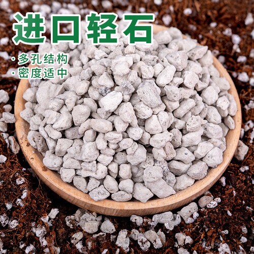 醉花营养土轻石兰花专用石
