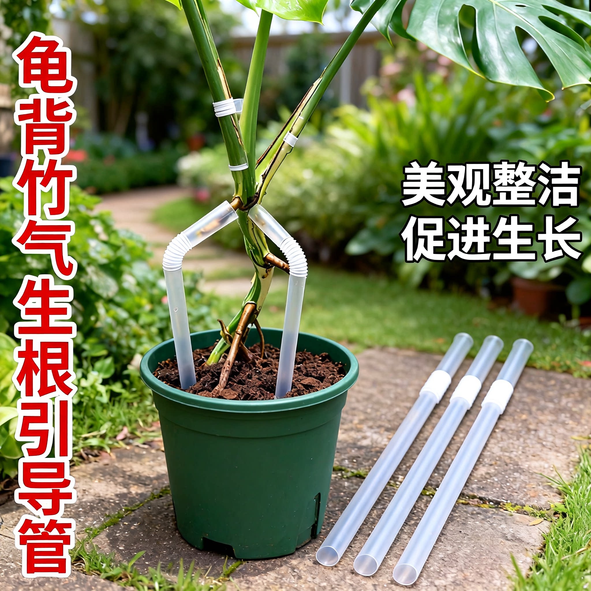 花多多 龟背竹气生根引导管龟背竹支撑杆蝴蝶兰矫正套管固定神器图片