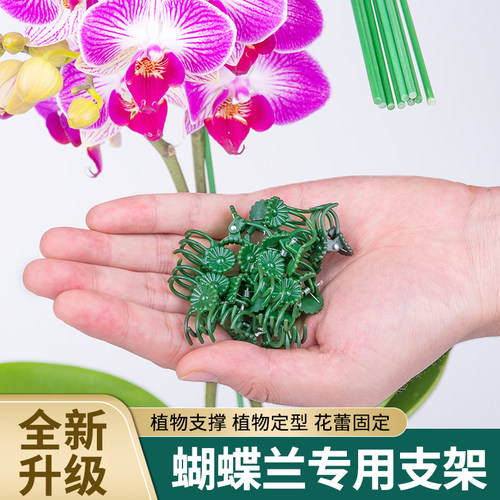 花多多支架蝴蝶兰专用不生锈