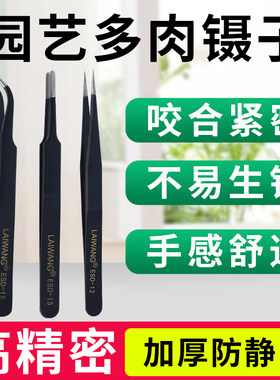 多肉镊子园艺加厚弯圆头