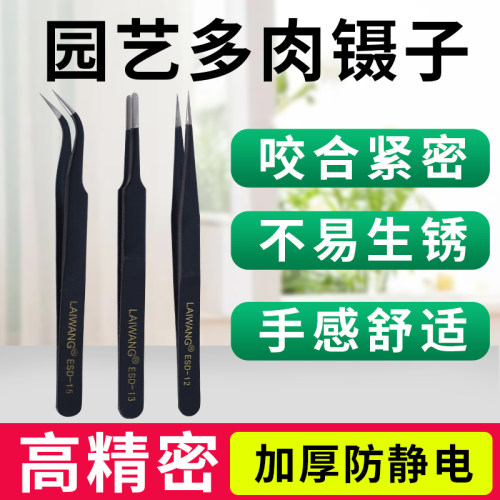 多肉镊子园艺加厚弯圆头