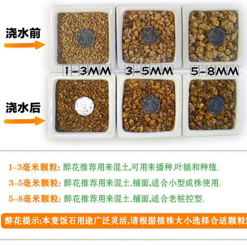 营养土颗粒多肉铺面石