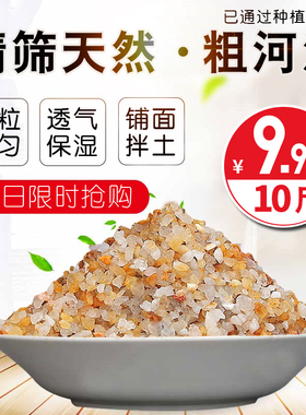 天然粗河沙多肉铺面石植物种植介质颗粒土粗沙子造景水族