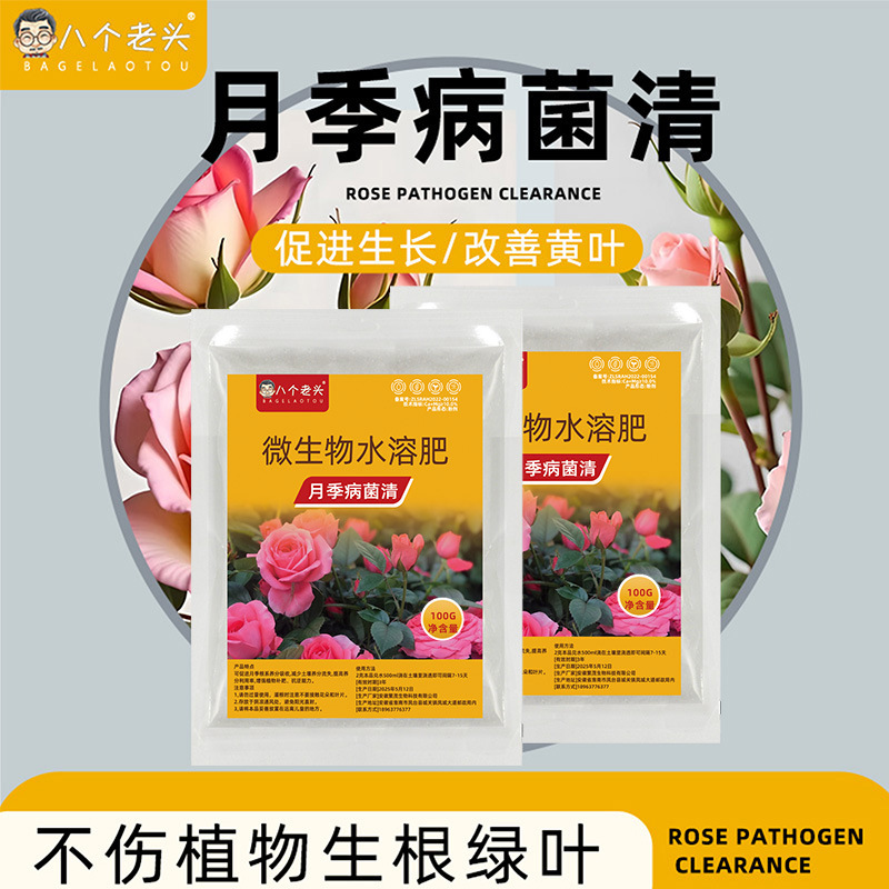 月季病菌清黑斑白粉黄叶微