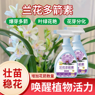 兰花多箭素促箭王营养液催花肥料爆根王促发芽开花兰灵王多剑王