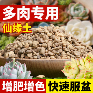 仙缘多肉专用颗粒土十二卷种植营养土盆栽阳台玉露九尾狐泥炭土壤