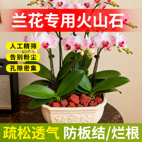 兰花专用火山石颗粒营养土植料铺面石料拌土垫底砂石养花红火山岩