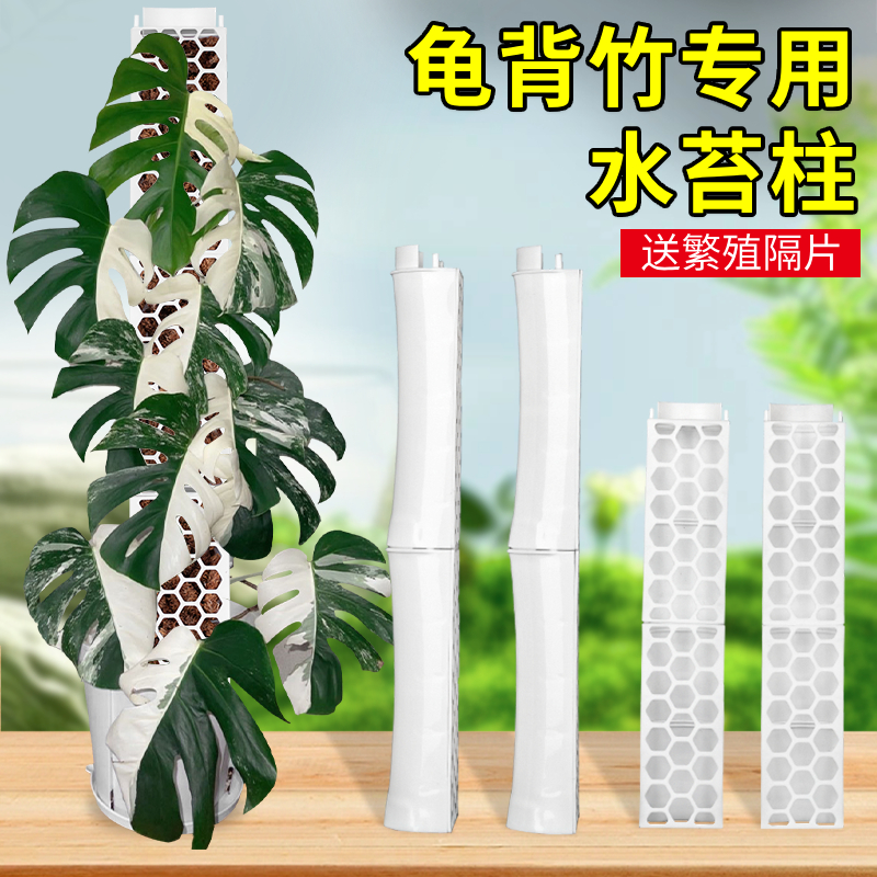 水苔柱龟背竹支撑杆固定架