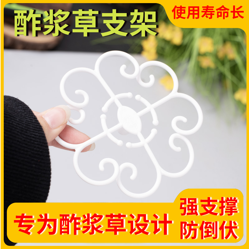 酢浆草早花太阳花专用支架花架园艺阳台固定支撑架园艺工具防倒伏