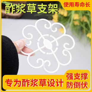 酢浆草早花太阳花专用支架花架园艺阳台固定支撑架园艺工具防倒伏