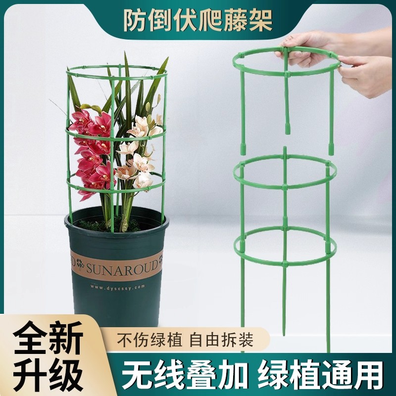 圆形爬藤架植物防倒伏园艺支撑杆可调支撑不伤枝茎植物爬藤架