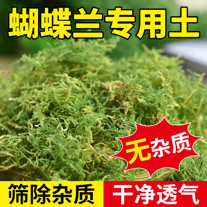 干苔藓水苔纯天然青苔兰花蝴蝶兰石斛种植专用营养土爬宠乌龟垫材 鲜花速递/花卉仿真/绿植园艺 介质/营养土 原图主图