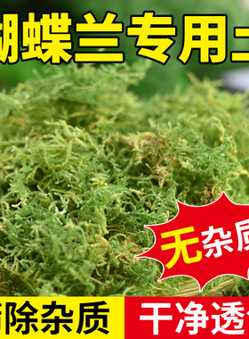 干苔藓水苔青苔兰花蝴蝶兰石斛种植专用营养土植料乌龟冬眠水台