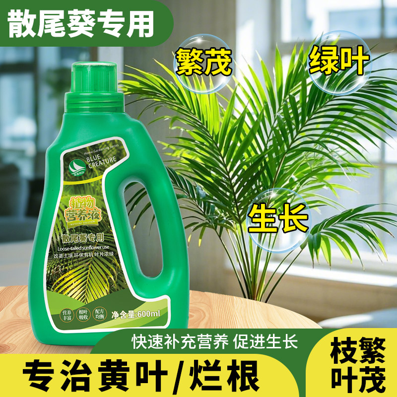散尾葵专用营养液肥料防叶子发黄焦叶干尖百合竹室内水培通用型图片