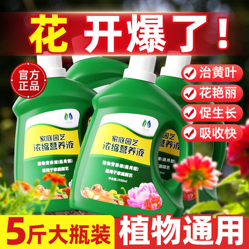 花多多营养液植物通用型花卉