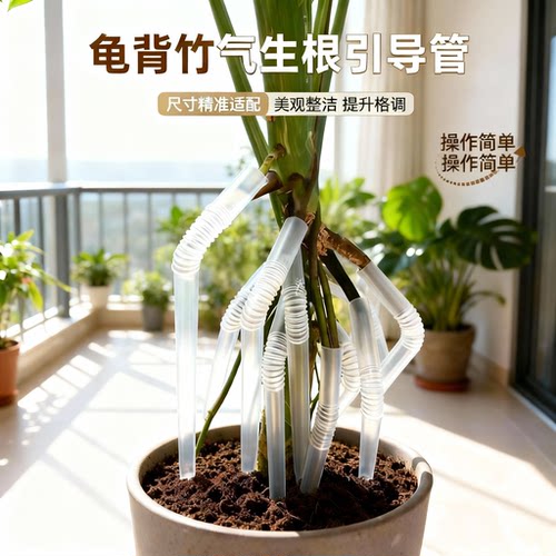 花多多龟背竹气生根引导管固定神器蝴蝶兰矫正套管龟背竹支撑杆
