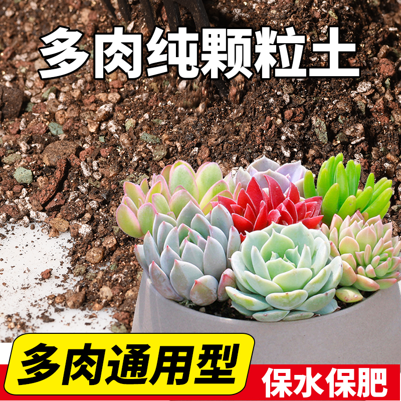 多肉颗粒土专用营养土通用泥炭土壤种植土肉肉叶插幼苗老桩纯花土