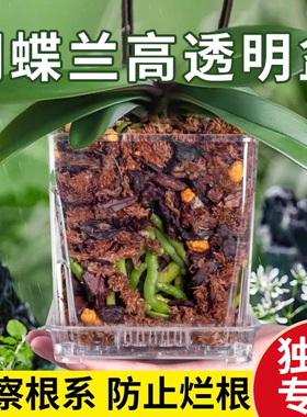 透明兰花水苔蝴蝶兰专用花盆树脂透水透气热植家用盆栽青山控根盆
