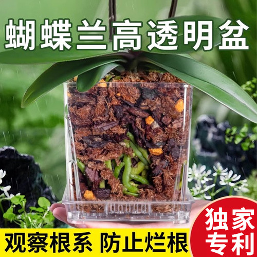 透明方盆透明养花水盆塑料透气