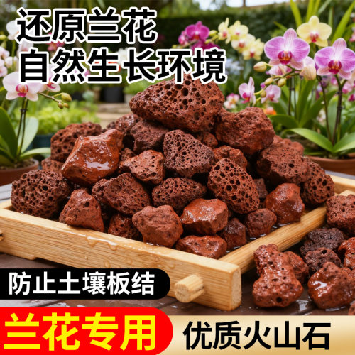 兰花专用火山石颗粒养花营养土植料铺面石料拌土垫底砂石红火山岩