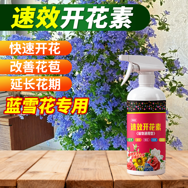 花多多蓝雪花速效开花素安全新手可用养花促花高浓缩营养液家用肥