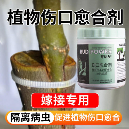 植物伤口愈合剂嫁切口修剪树皮