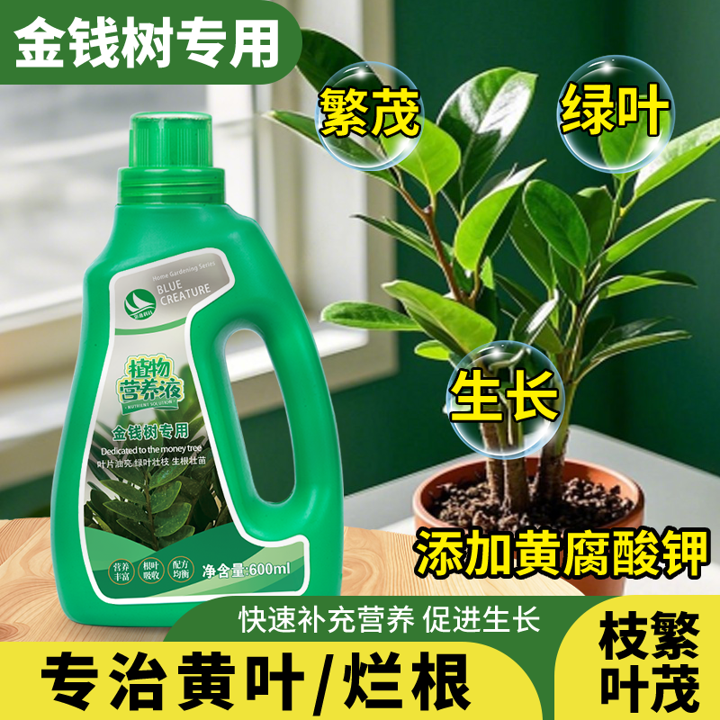 金钱树专用营养液金钱树肥料专用肥金钱树叶子发黄叶烂根摇钱树肥,鲜花速递/花卉仿真/绿植园艺,家庭园艺肥料,淘宝优惠券,粉丝福利购,淘宝优惠卷