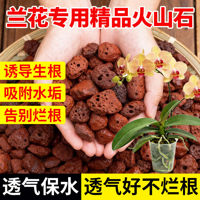 兰花专用火山石颗粒养花营养土植料铺面石料拌土垫底砂石红火山岩