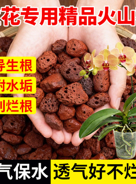 兰花专用火山石颗粒养花营养土植料铺面石料拌土垫底砂石红火山岩