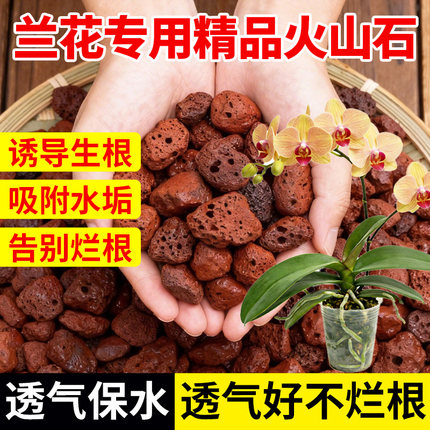 兰花专用火山石颗粒养花营养土植料铺面石料拌土垫底砂石红火山岩