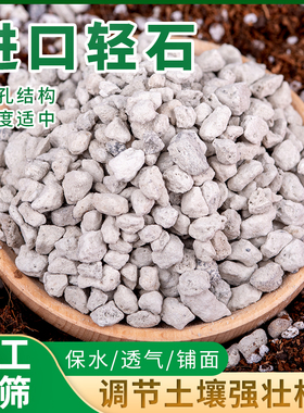 轻石颗粒浮石钵底石兰花石媲美日向石多肉铺面垫底水族滤材进口级