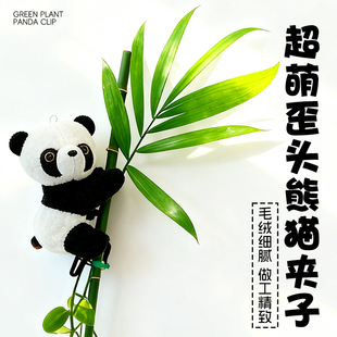 绿植装饰挂件熊猫挂件小熊猫玩偶夹子树挂小熊猫富贵竹龟背竹装饰