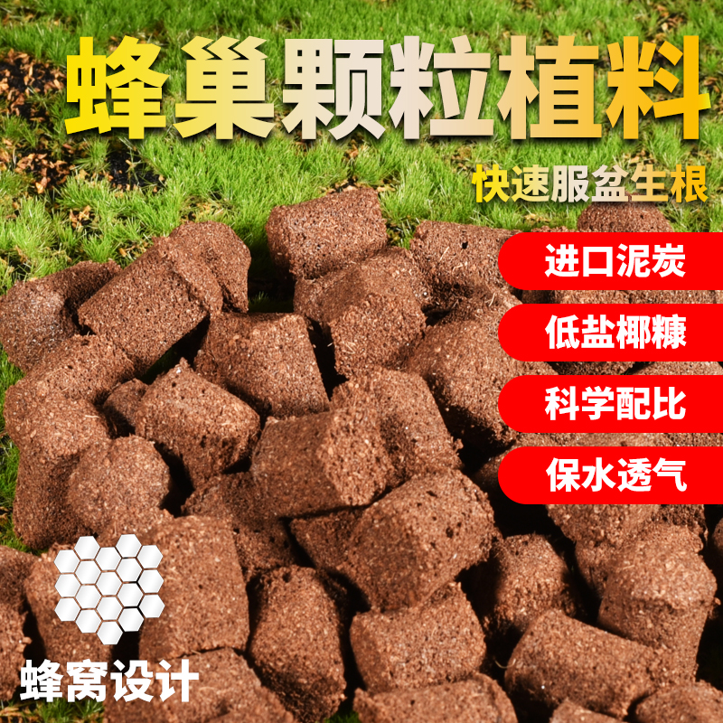 蜂巢颗粒植料热植土蝴蝶兰花