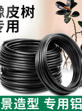 橡皮树专用造型铝丝铝线