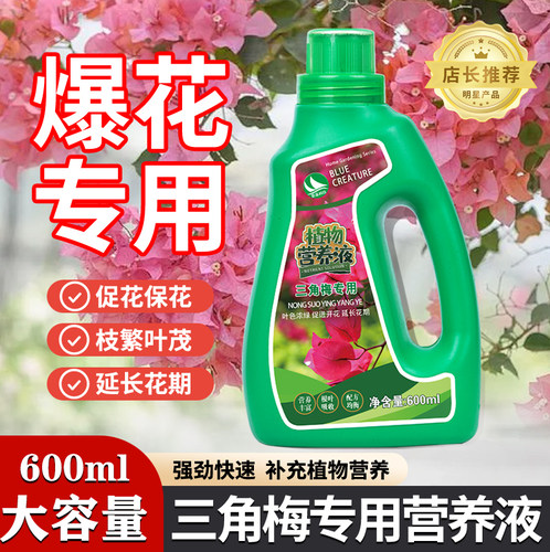 三角梅开花专用营养液