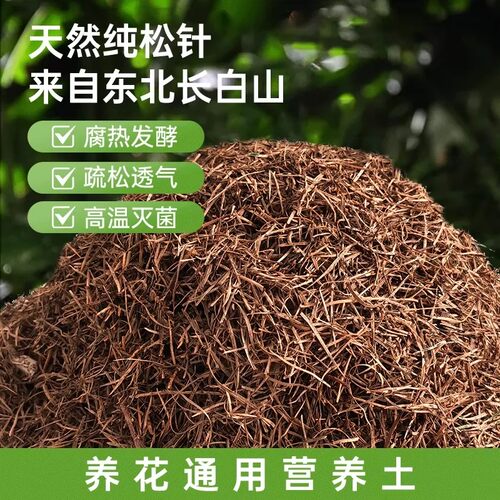 纯松针腐熟腐殖土发酵垫材君子兰花专用土养花通用营养土