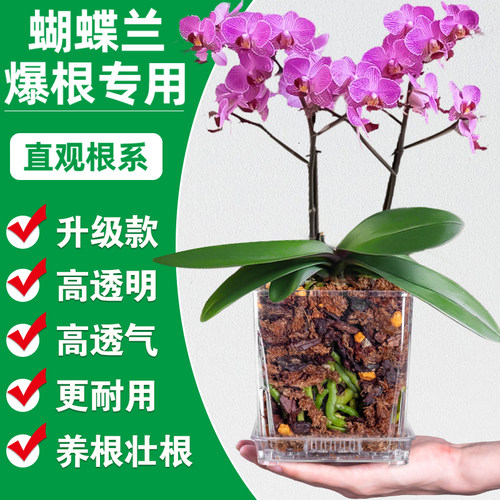 树脂材质高透明简约花盆