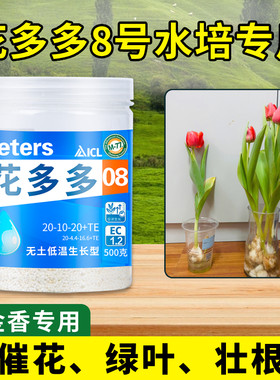 花多多水培水溶肥富贵竹绿萝