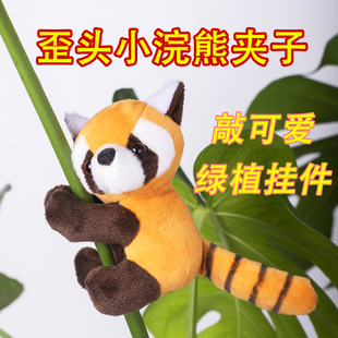小浣熊夹子玩偶夹绿植挂件装饰不伤茎龟背竹富贵竹可悬挂可水洗