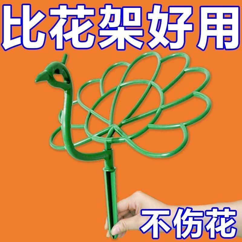 金枝玉叶定型架花卉专用支