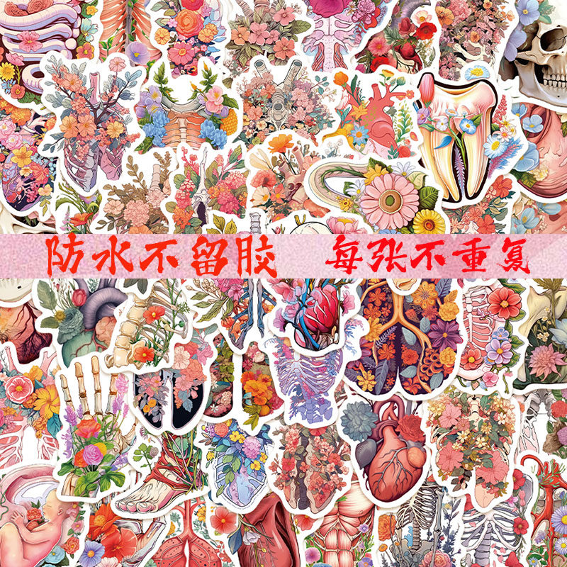 50张器官花卉贴纸防水不留胶