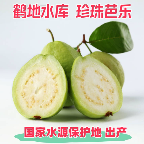 顺丰包邮新鲜脆甜芭乐轻食好果