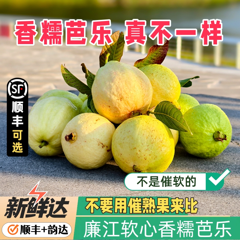 奶油芭乐软糯番石榴冰淇淋口感