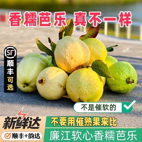 奶油芭乐软糯番石榴冰淇淋口感